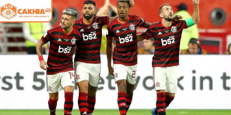 Quá trình phát triển của Flamengo Brazil